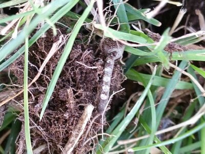 Sunrise Treasure Hunt: Rings, Coins & Hidden Gems! - 6