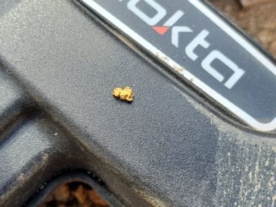 Unearthing Four Nuggets With The Legend - 1