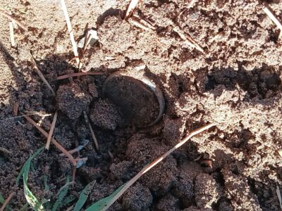 Metal Detecting at the Park: Today's Awesome Finds - 8