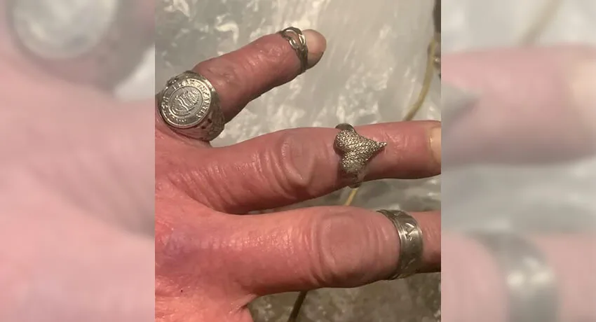 Some Silver For You Silver Lovers - Cover